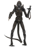 (NECA) Aliens - 7" Scale Action Figure Ultimate Aliens Warrior (1986) - Brown Alien