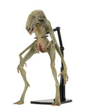 (NECA) Aliens - 7" Scale Action Figure - Deluxe Alien Resurrection Newborn