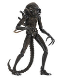 (NECA) Aliens - 7" Scale Action Figure Ultimate Aliens Warrior (1986) - Brown Alien