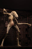 (NECA) Aliens - 7" Scale Action Figure - Deluxe Alien Resurrection Newborn