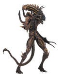 (NECA) Aliens - 7" Scale Action Figure - Series 13 - Scorpion Alien