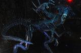 (NECA) Aliens - Ultra Deluxe Boxed Figure - Alien Queen
