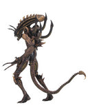 (NECA) Aliens - 7" Scale Action Figure - Series 13 - Scorpion Alien