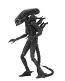 (NECA) Alien – 7″ Scale Action Figure – Ultimate 40th Anniversary Big Chap
