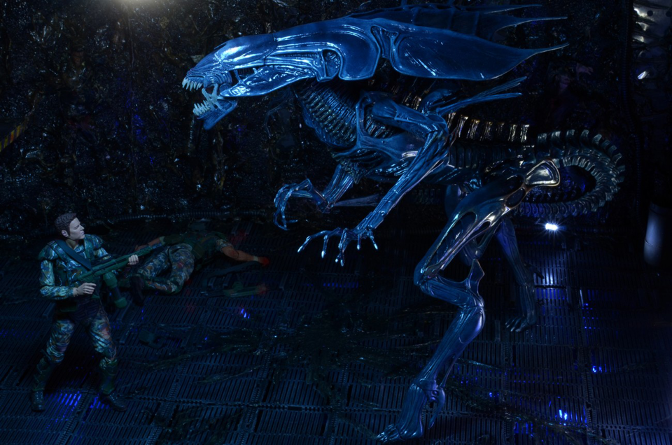 (NECA) Aliens - Ultra Deluxe Boxed Figure - Alien Queen