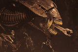 (NECA) Aliens - Ultra Deluxe Boxed Figure - Alien Resurrection Queen
