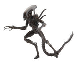 (NECA) Aliens - 7" Scale Action Figure - Series 14 - Warrior Alien