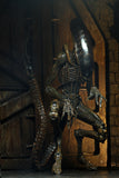 (NECA) Alien 3 - 7" Scale Action Figure - Ultimate Dog Alien