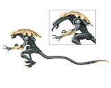 (NECA) Alien vs Predator - 7" Scale Action Figure - Alien Arcade - Chrysalis