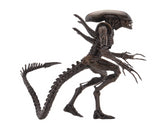 (NECA) Aliens - 7" Scale Action Figure - Series 14 - Warrior Alien
