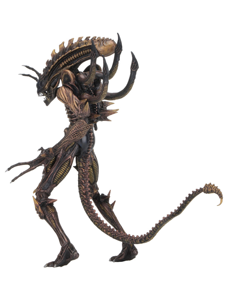 Neca best sale alien series