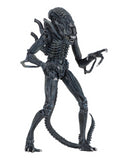 (NECA) Aliens - 7" Scale Action Figure Ultimate Aliens Warrior (1986) - Blue Alien