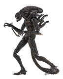 (NECA) Aliens - 7" Scale Action Figure Ultimate Aliens Warrior (1986) - Brown Alien