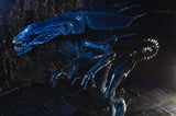 (NECA) Aliens - Ultra Deluxe Boxed Figure - Alien Queen