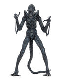 (NECA) Aliens - 7" Scale Action Figure Ultimate Aliens Warrior (1986) - Blue Alien