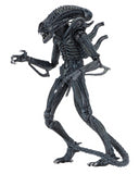 (NECA) Aliens - 7" Scale Action Figure Ultimate Aliens Warrior (1986) - Blue Alien