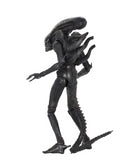 (NECA) Alien – 7″ Scale Action Figure – Ultimate 40th Anniversary Big Chap