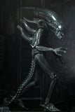 (NECA) Alien – 7″ Scale Action Figure – Ultimate 40th Anniversary Big Chap