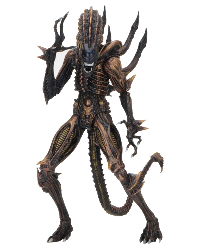 Neca xenomorph deals