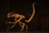 (NECA) Alien 3 - Accessory Pack - Creature Pack