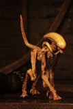 (NECA) Alien 3 - Accessory Pack - Creature Pack