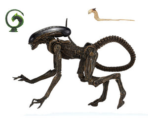 (NECA) Alien 3 - 7" Scale Action Figure - Ultimate Dog Alien