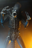 (NECA) Alien - 1/4th  Scale Action Figure - Ultimate 40th Anniversary Big Chap