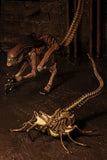 (NECA) Alien 3 - Accessory Pack - Creature Pack