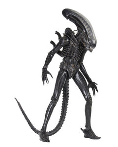 (NECA) Alien - 1/4th  Scale Action Figure - Ultimate 40th Anniversary Big Chap