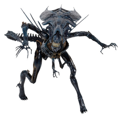 (NECA) Aliens - Ultra Deluxe Boxed Figure - Alien Queen