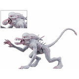 (NECA) Alien & Predator Classics - 6" Scale Action Figure - Neomorph Alien