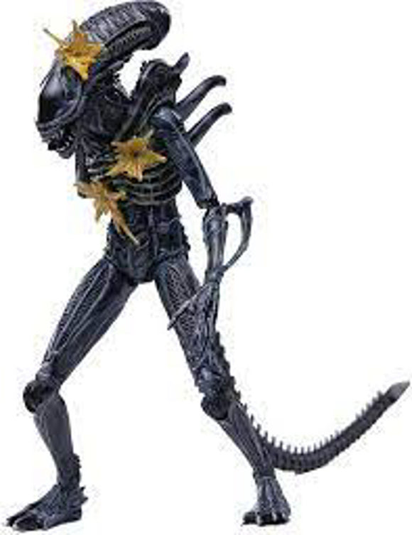 Hiya Toys ALIENS - Battle Damage Alien Warrior Action Figue Exquisite Mini Series 1:18