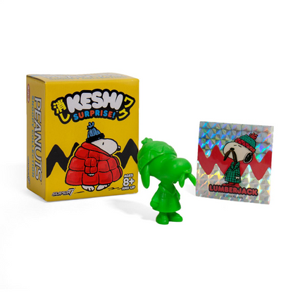Super7 Peanuts Snoopy Keshi Surprise Blindbox Figure