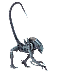 (NECA) Alien vs Predator - 7" Scale Action Figure - Alien Arcade - Arachnoid