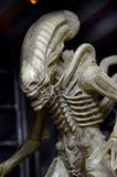 (NECA) Alien – 7” Scale Action Figure – 40th Anniversary - Concept Xenomorph