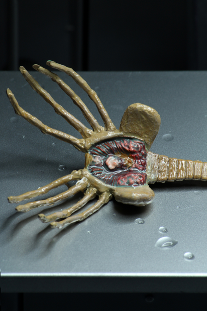 (NECA) Alien – 7″ Scale Action Figure – Ultimate 40th Anniversary Big Chap