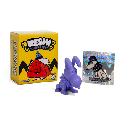Super7 Peanuts Snoopy Keshi Surprise Blindbox Figure