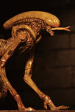 (NECA) Alien 3 - Accessory Pack - Creature Pack