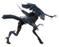 (NECA) Aliens - Ultra Deluxe Boxed Figure - Alien Queen