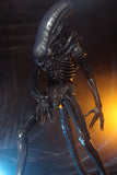 (NECA) Alien - 1/4th  Scale Action Figure - Ultimate 40th Anniversary Big Chap