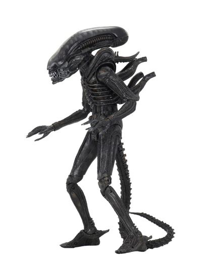 (NECA) Alien – 7″ Scale Action Figure – Ultimate 40th Anniversary Big Chap