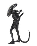 (NECA) Alien - 1/4th  Scale Action Figure - Ultimate 40th Anniversary Big Chap