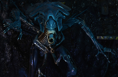 (NECA) Aliens - Ultra Deluxe Boxed Figure - Alien Queen
