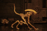 (NECA) Alien 3 - Accessory Pack - Creature Pack