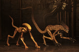 (NECA) Alien 3 - Accessory Pack - Creature Pack