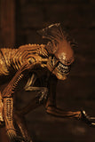 (NECA) Alien 3 - Accessory Pack - Creature Pack