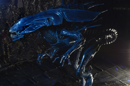 (NECA) Aliens - Ultra Deluxe Boxed Figure - Alien Queen