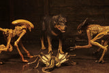 (NECA) Alien 3 - Accessory Pack - Creature Pack