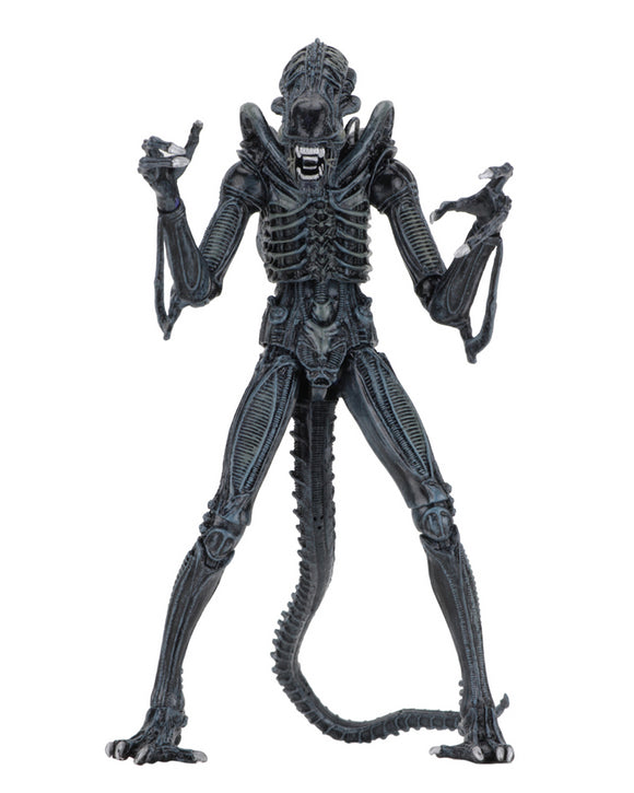 (NECA) Aliens - 7