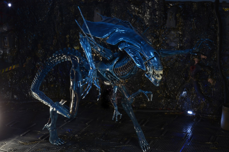 (NECA) Aliens - Ultra Deluxe Boxed Figure - Alien Queen